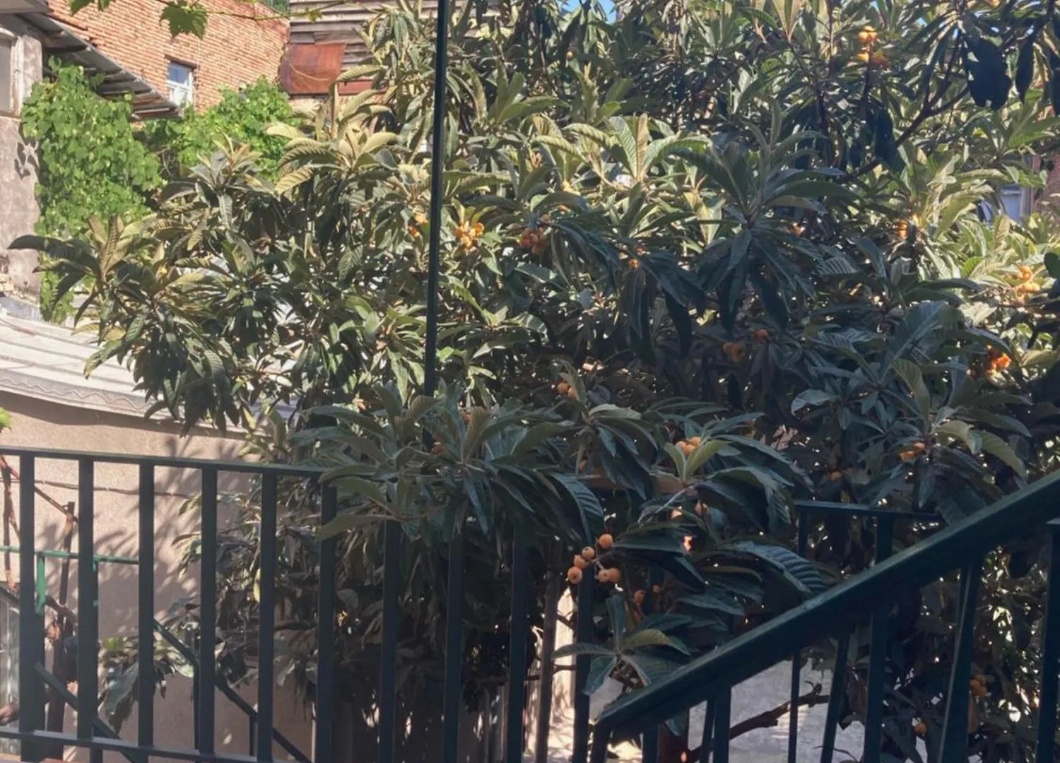 Best Value Apartment In Tbilisi Center 0*,