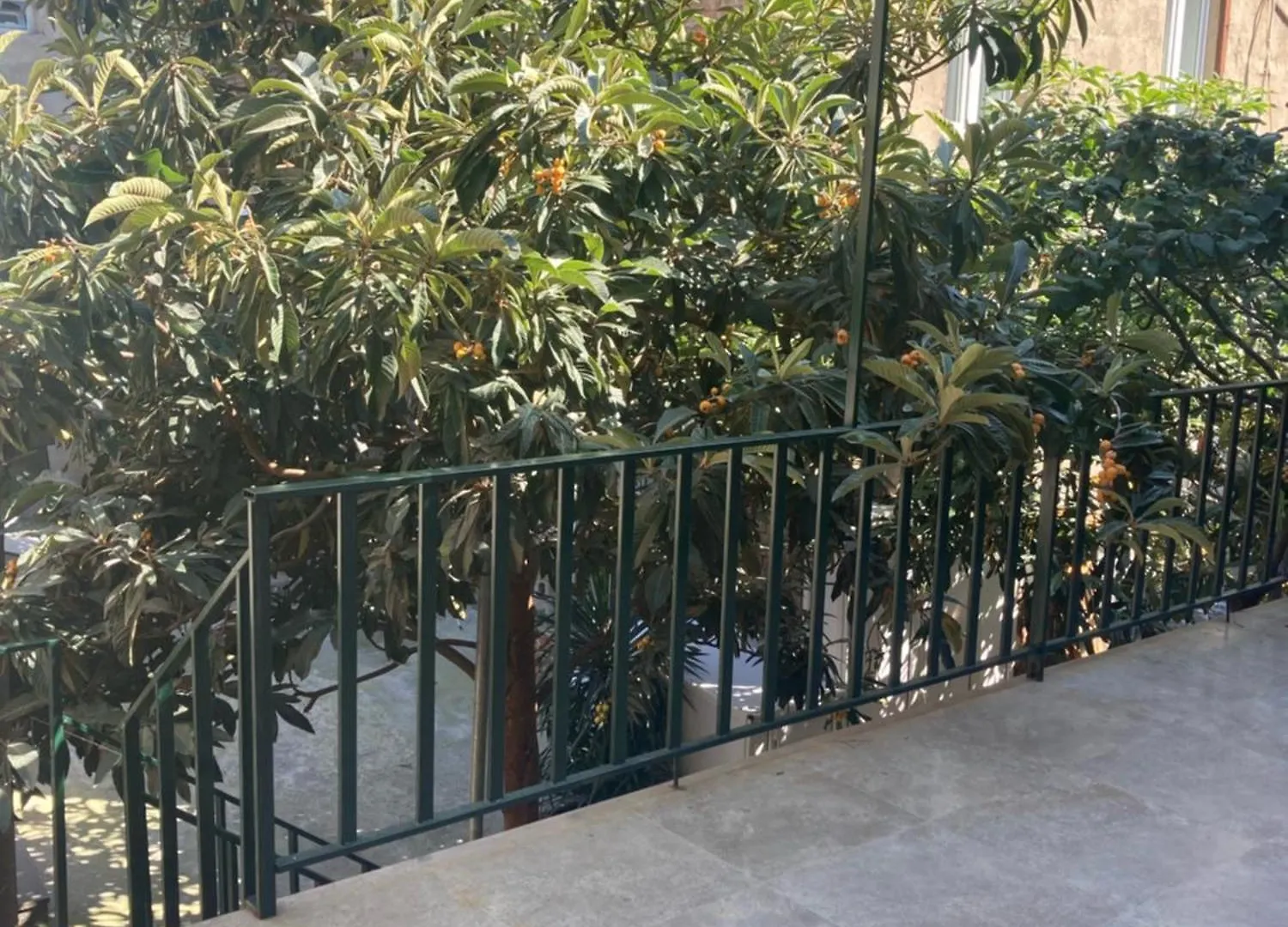 Best Value Apartment In Tbilisi Center